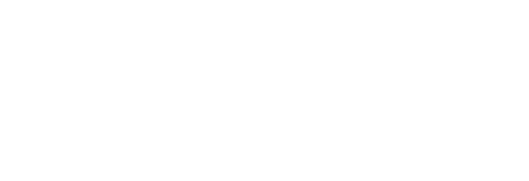 ok-vivo-120